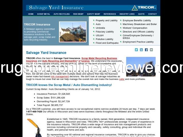 salvageinsurance.biz